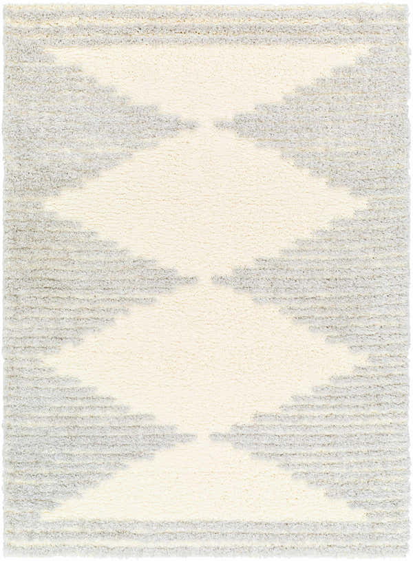 Sample Bayan Gray Plush Area Rug - Clearance