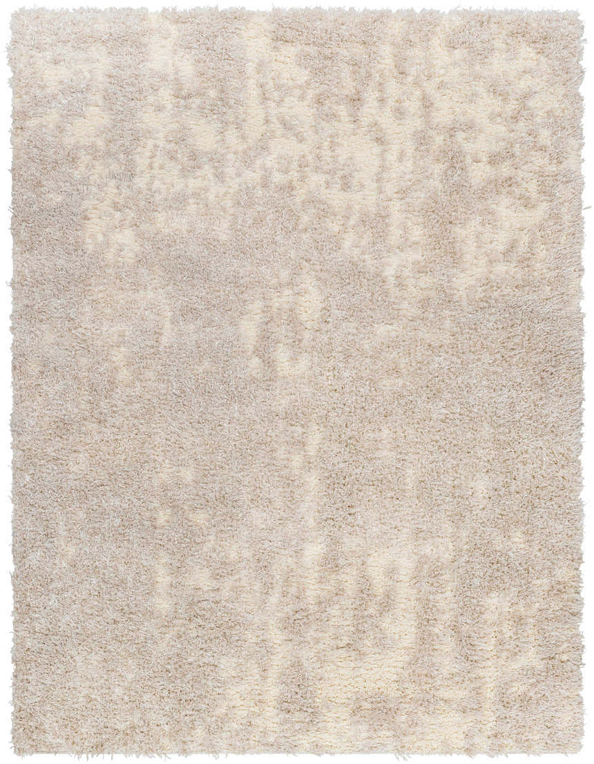 Sample Edzia Beige Plush Area Rug - Clearance