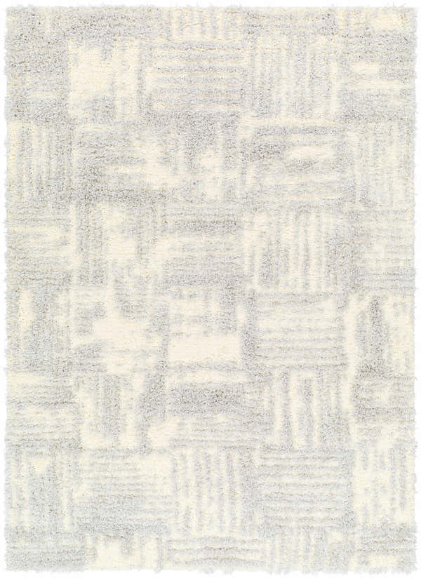Sample Iduia Gray Plush Area Rug - Clearance