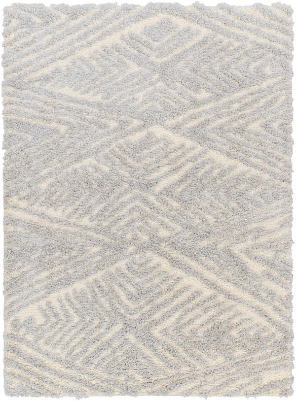 Sample Ioana Gray Plush Area Rug - Clearance