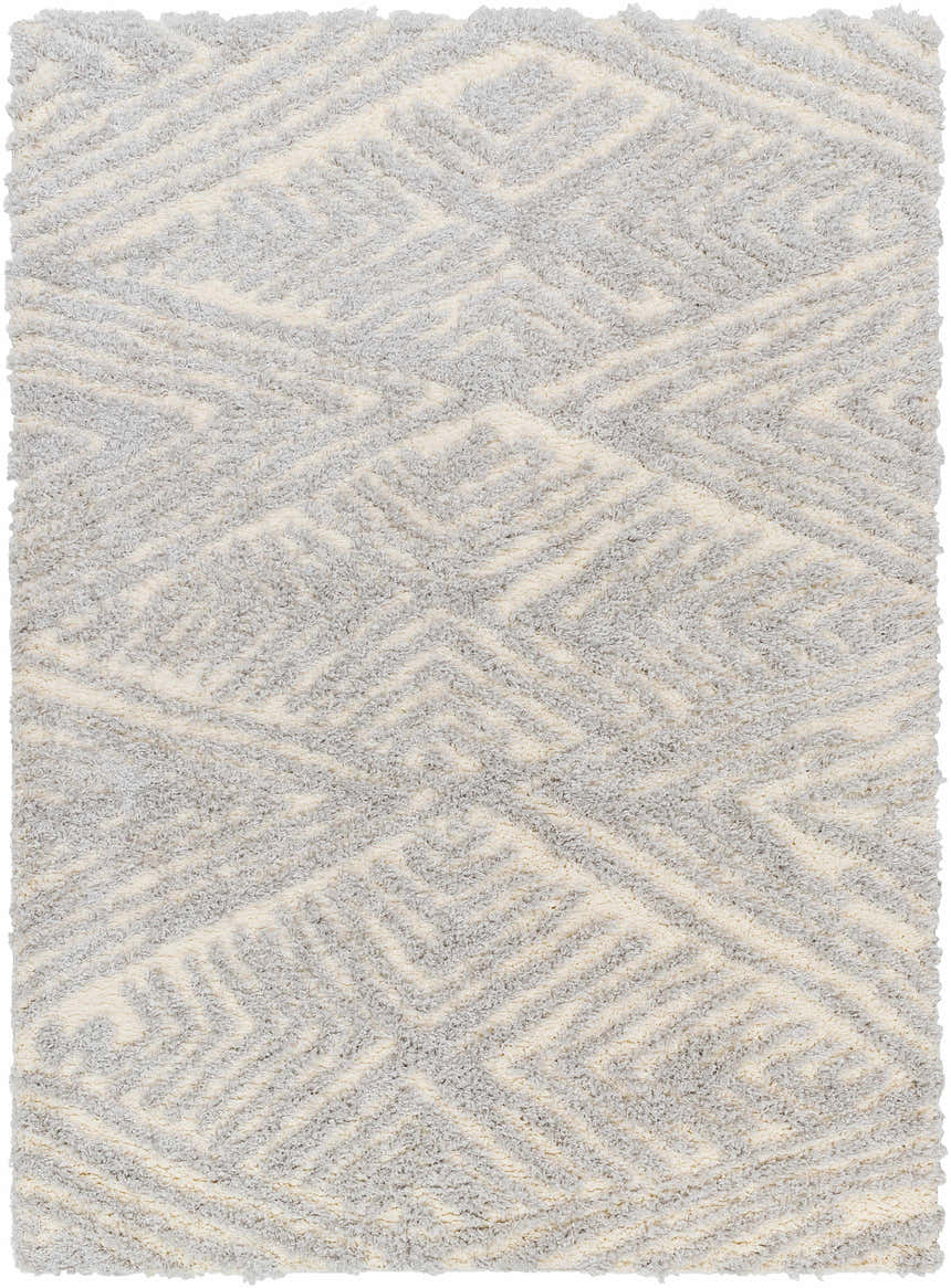 Sample Ioana Gray Plush Area Rug - Clearance
