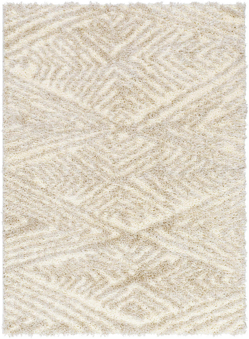 Close-up of the Ioana Beige Plush Area Rug showing its soft texture and subtle diamond pattern. Design-Rectangle-537