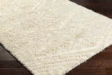 Sample Ioana Beige Plush Area Rug - Clearance