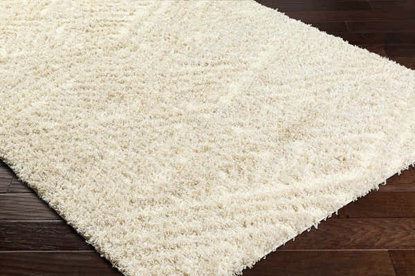 Sample Ioana Beige Plush Area Rug - Clearance