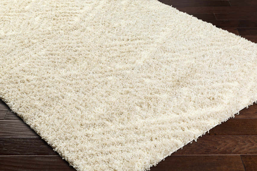 Sample Ioana Beige Plush Area Rug - Clearance