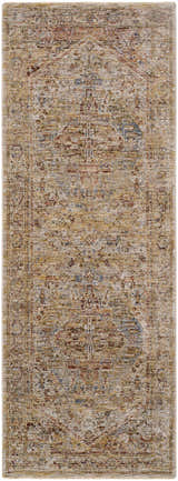 Close-up of Alois Rust Rich Textured Traditional Rug. Farmhouse style rug with bone, brown, beige, and blue tones. Design-Runner-2710