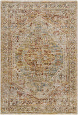 Close-up of the Alois Rust Rich Textured Traditional Rug, featuring bone, brown, and beige tones with a classic pattern. Design-Rectangle-575
