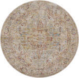 Close-up of round Alois Rust rug. Traditional design in bone, dark brown, driftwood, and light beige. Rich, textured detail. Design-Round-67