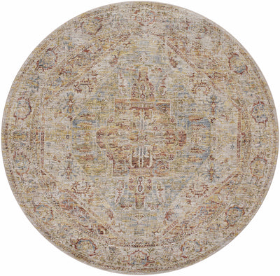 Alois Rust Area Rug