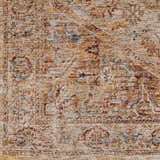 Sample Alois Rust Rich Textured Traditional Rug