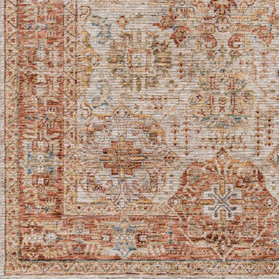 Sample Ange Rust Area Rug