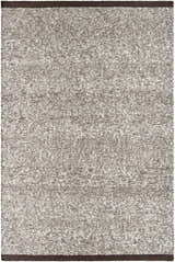 Sample Nenet Charcoal Hand Woven Area Rug - Clearance