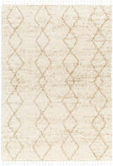 Sample Ishan Cream Area Rug - Clearance