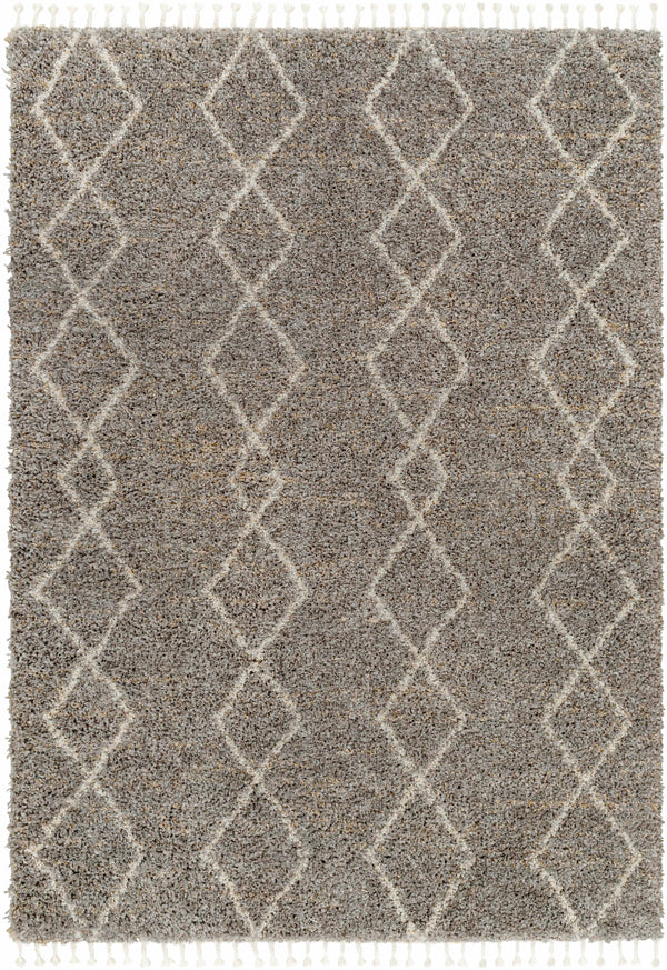 Sample Ishan Taupe Area Rug