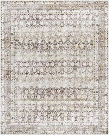Close-up of the Mabyn Area Rug. Machine-woven polyester rug with a vintage-inspired, distressed design in neutral tones. Design-Rectangle-7696