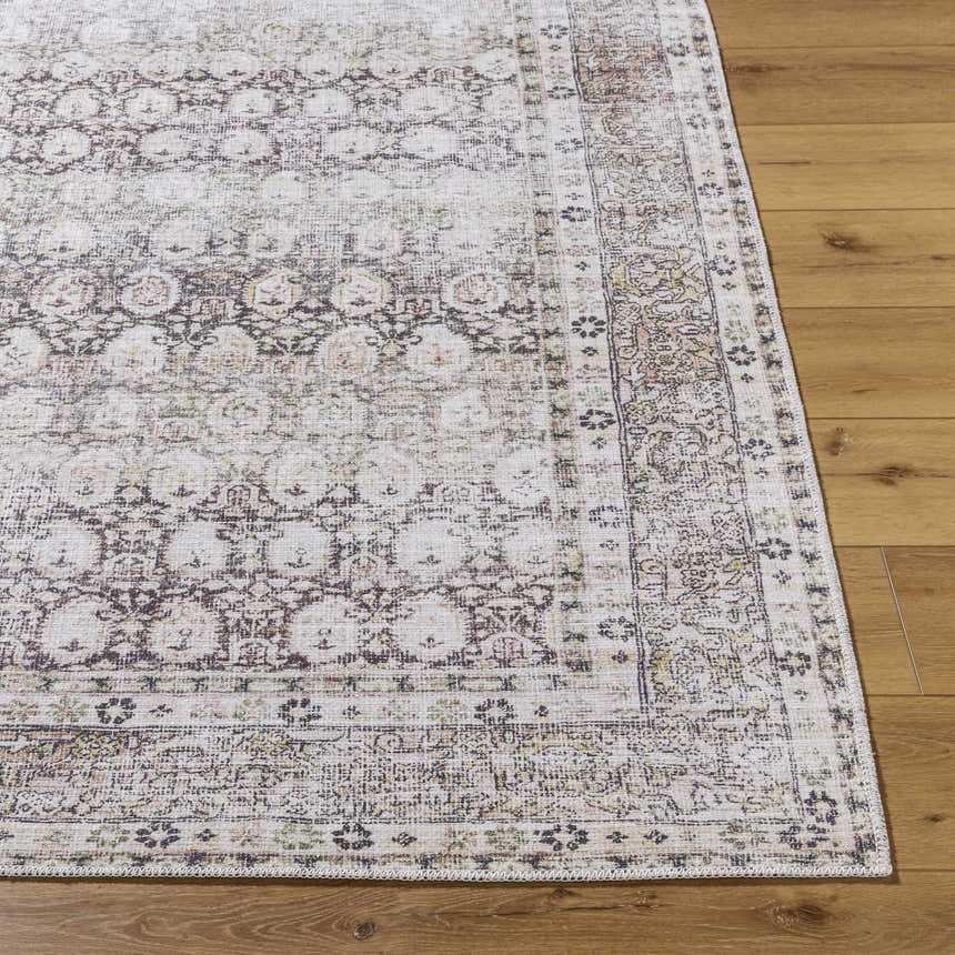 Close-up of the Mabyn Area Rug showing its vintage-inspired design, soft neutral colors, and subtle distressed texture. Front