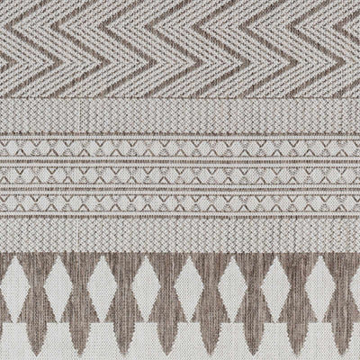 Sample Asif Brown Area Rug