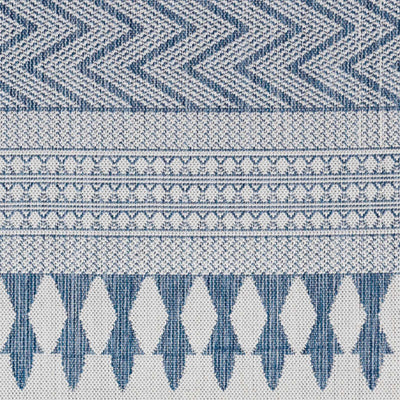 Sample Asif Blue & Gray Area Rug