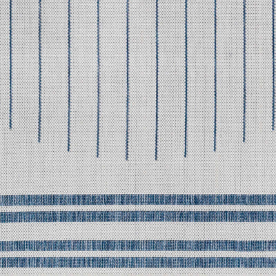 Sample Aviya Blue & Gray Area Rug