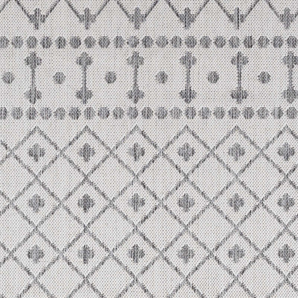 Sample Lali Light Gray Area Rug
