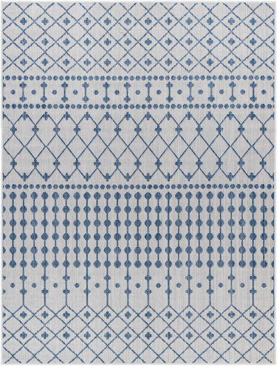 Sample Lali Blue & Gray Area Rug