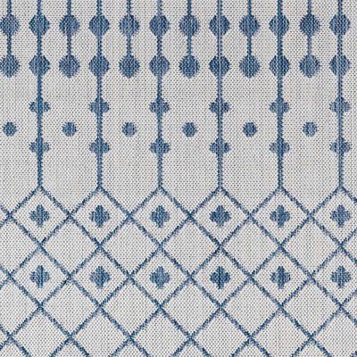 Sample Lali Blue & Gray Area Rug