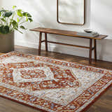 Sample Jeong Rust Area Rug - Clearance