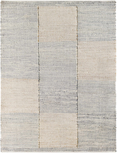 Sample Pacey Beige & Gray Area Rug