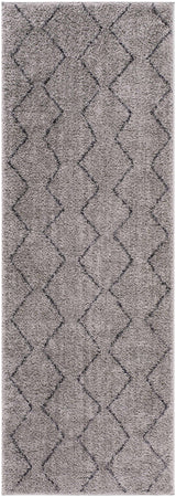 Amro Washable Area Rug - Clearance