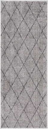 Deza Gray Washable Area Rug - Clearance