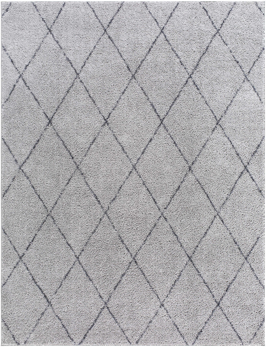 Deza Gray Washable Area Rug - Clearance