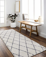 Deza Beige Washable Area Rug - Clearance