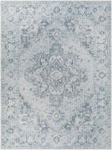Sample Ankti Aqua Washable Area Rug - Clearance