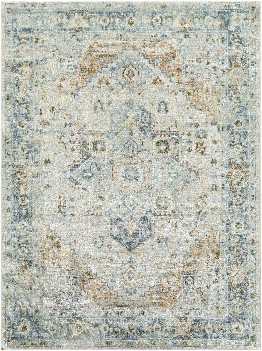 Close-up of Ezri Washable Area Rug. Beige, light blue, and orange traditional farmhouse pattern. Machine woven texture. Design-Rectangle-537