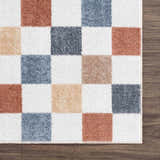 Sample Alie Colorful Checkered Washable Rug
