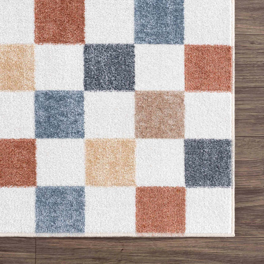 Sample Alie Colorful Checkered Washable Rug