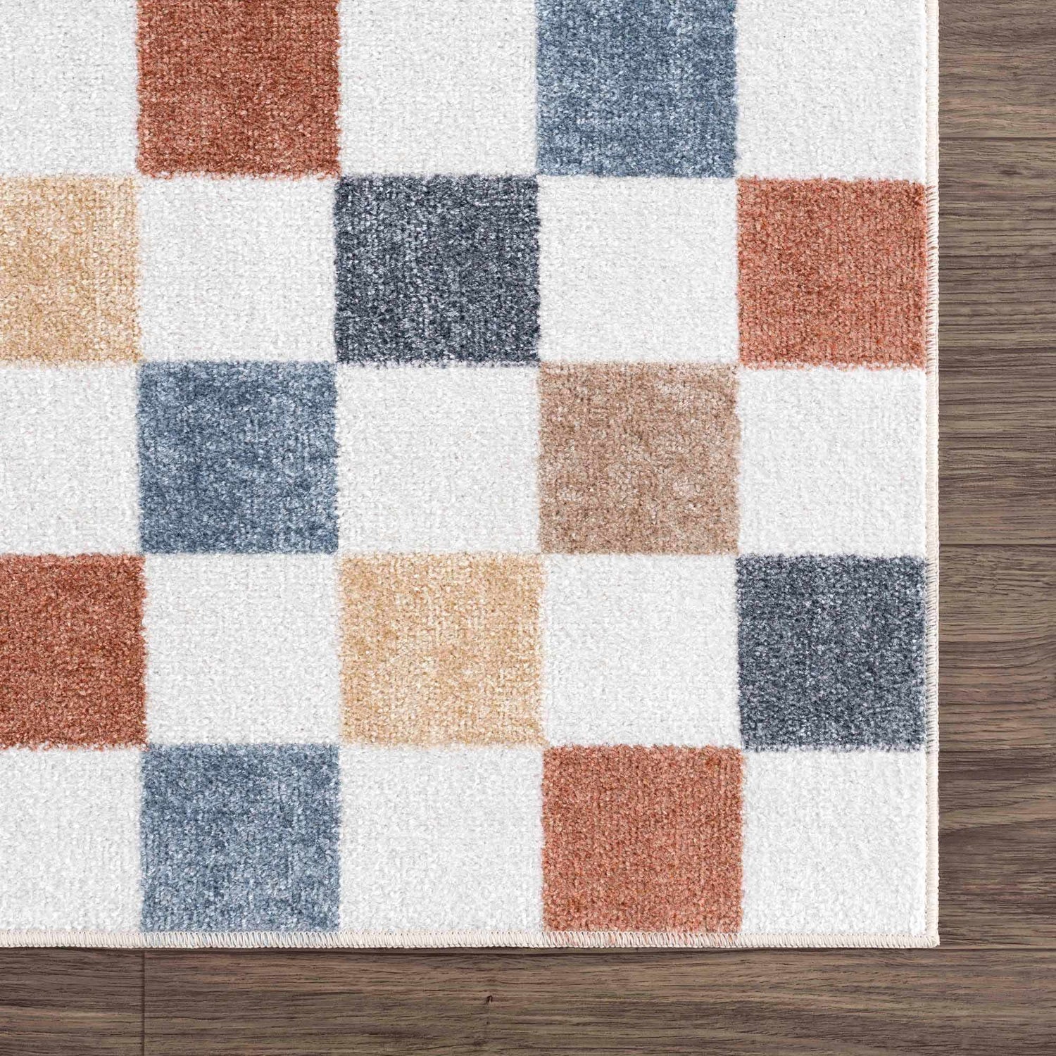 Sample Alie Colorful Checkered Washable Rug