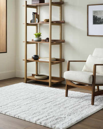 Living room scene with light wood shelving, chair, and Anevay Light Gray Area Rug. Roomscene-Rectangle