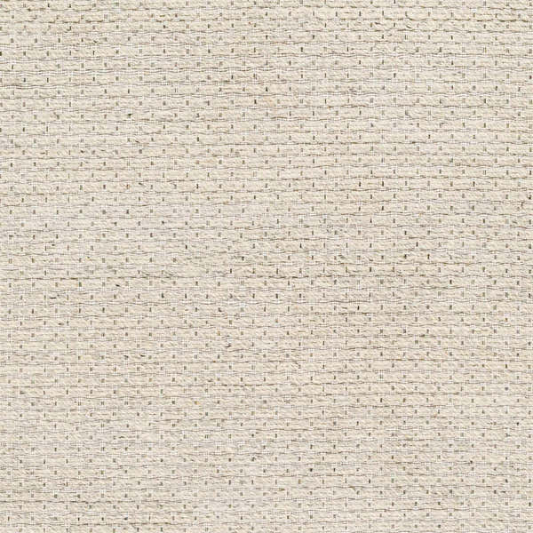 Sample Cream Emlen Area Rug - Clearance