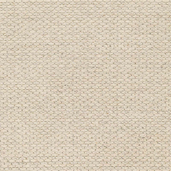 Sample Beige Emlen Area Rug