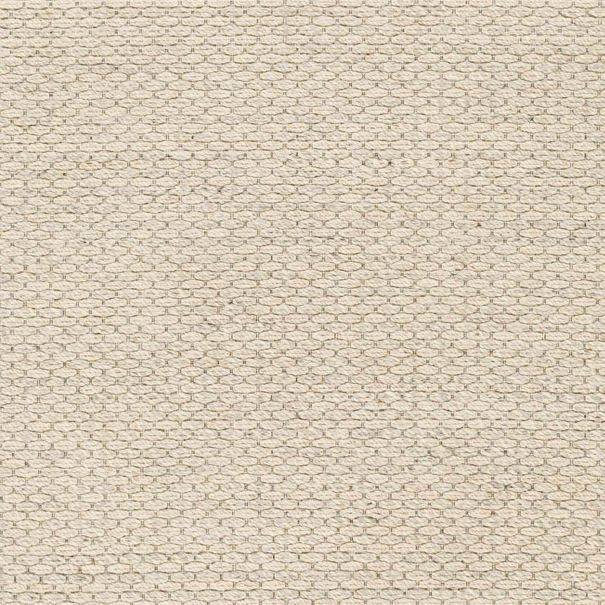Sample Beige Emlen Area Rug - Clearance