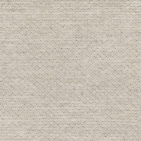 Sample Light Brown Emlen Area Rug