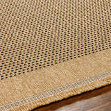 Texture