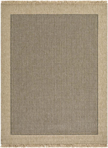 Close-up of the Endre Tan Indoor Outdoor Area Rug. Features a tan border and a herringbone pattern in the center. Design-Rectangle-537