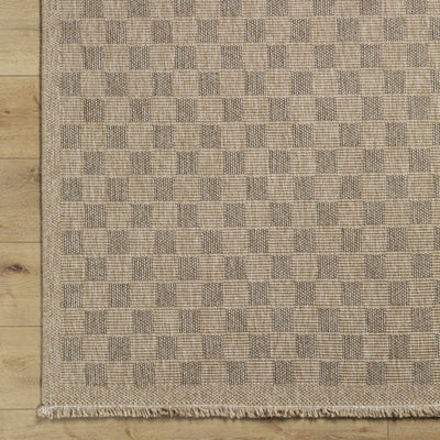 Sample Jurek Beige Checkered Area Rug