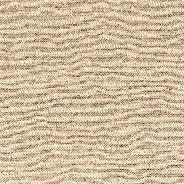 Sample Alyra Beige Solid Area Rug