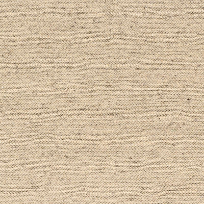 Sample Alyra Beige Solid Area Rug