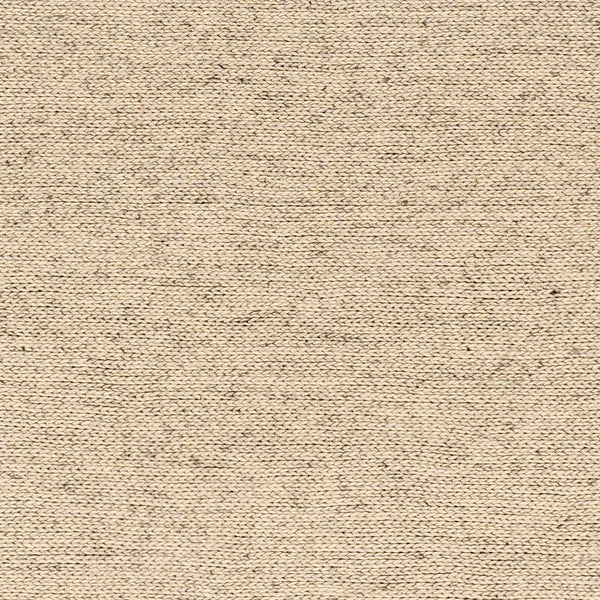 Sample Alyra Beige Solid Area Rug