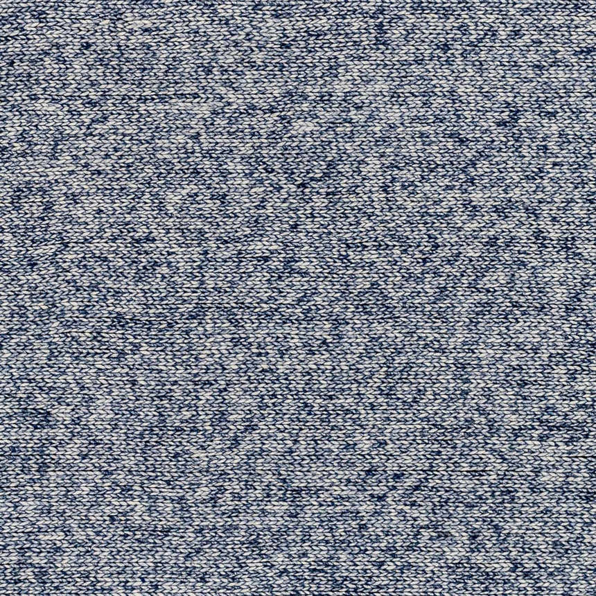 Sample Alyra Blue Solid Area Rug