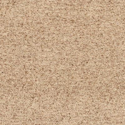 Sample Alyra Tan Solid Area Rug